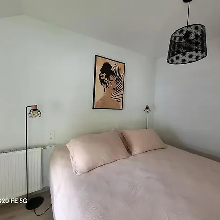 Maison Familiale Et Cosy - Entre Et Montagne Doussard